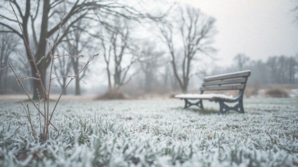 Jakie są maksymalne i minimalne temperatury w New Delhi w lutym?