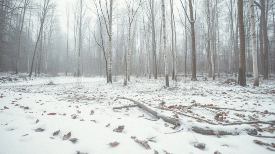 Ile lat żyją lisy w warunkach naturalnych?