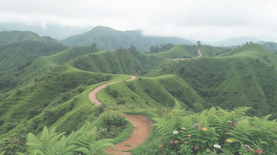 Jakie miejsca na trekking warto odwiedzić w lutym w Indiach?