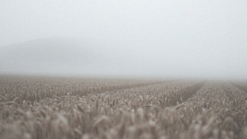 Ból opłucnowy ile trwa? Przyczyny i objawy bólu opłucnowego