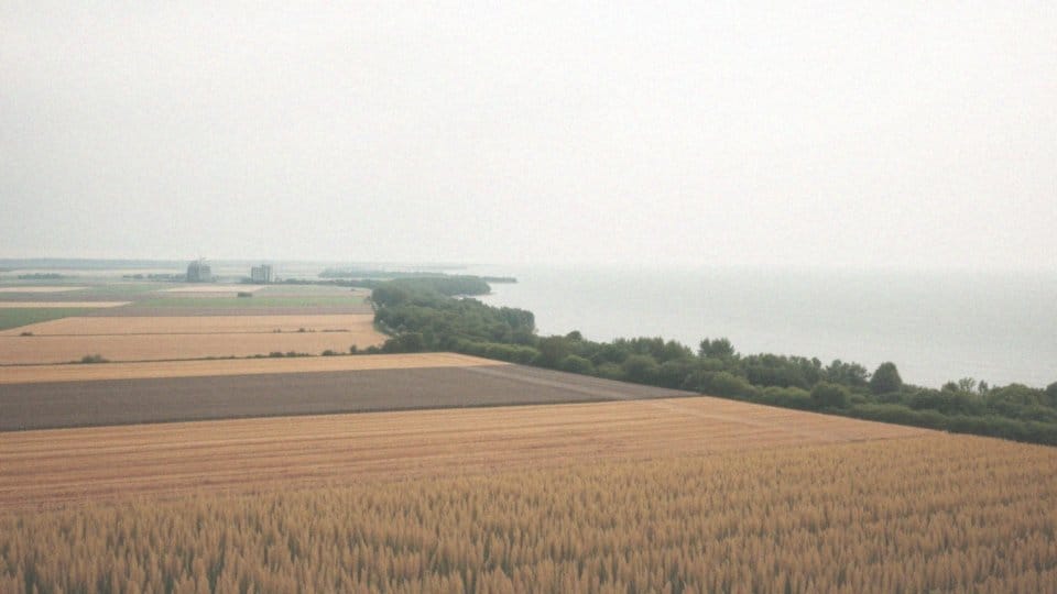 Jak będzie wyglądał świat w 2050 roku? Prognozy i zmiany