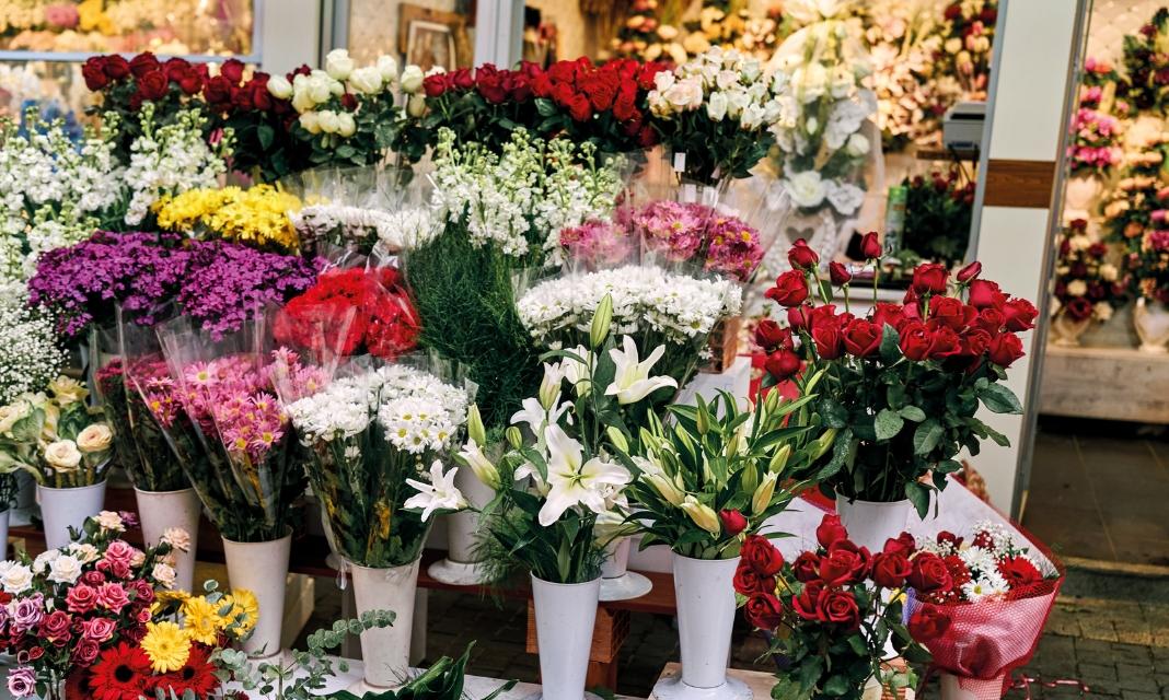 Kwiaciarnia Choszczno