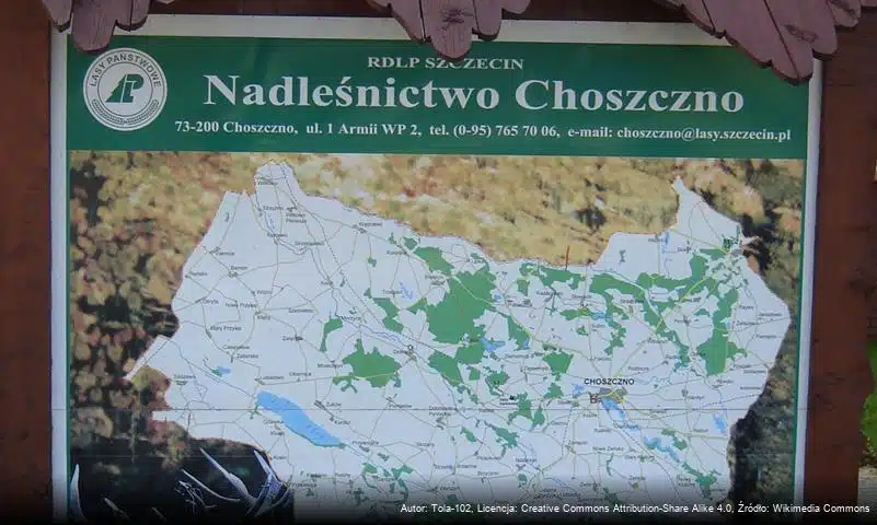 Nadleśnictwo Choszczno