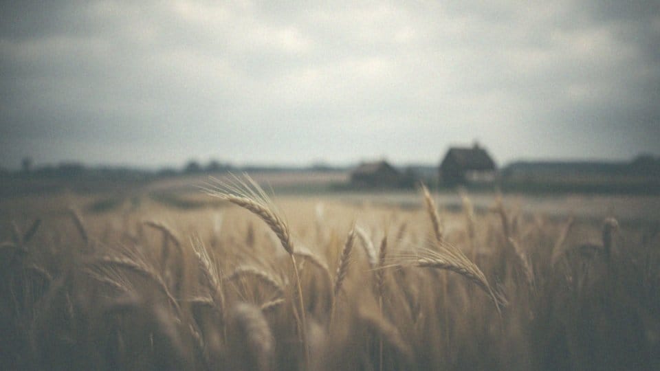 Rak trzustki w wieku 20 lat – przyczyny, objawy i leczenie